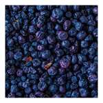 FARM 29- Fresh From Farmers Blueberries (100 Gm) (TAOPL-1028)